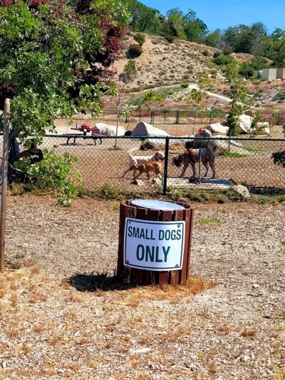 MacKay Park Bark Park - Lake Arrowhead, CA