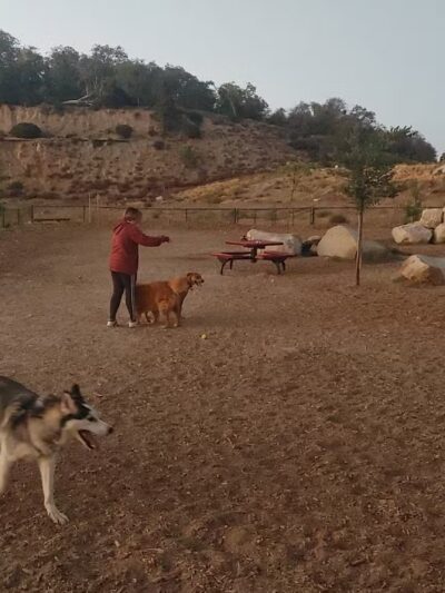 MacKay Park Bark Park - Lake Arrowhead, CA