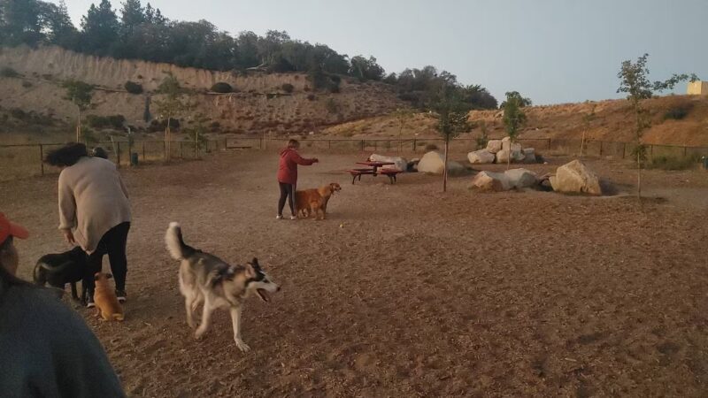 MacKay Park Bark Park - Lake Arrowhead, CA
