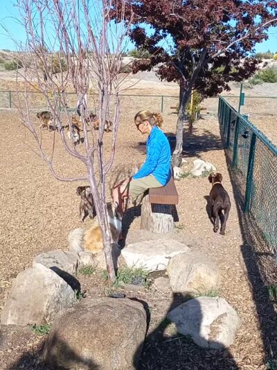 MacKay Park Bark Park - Lake Arrowhead, CA