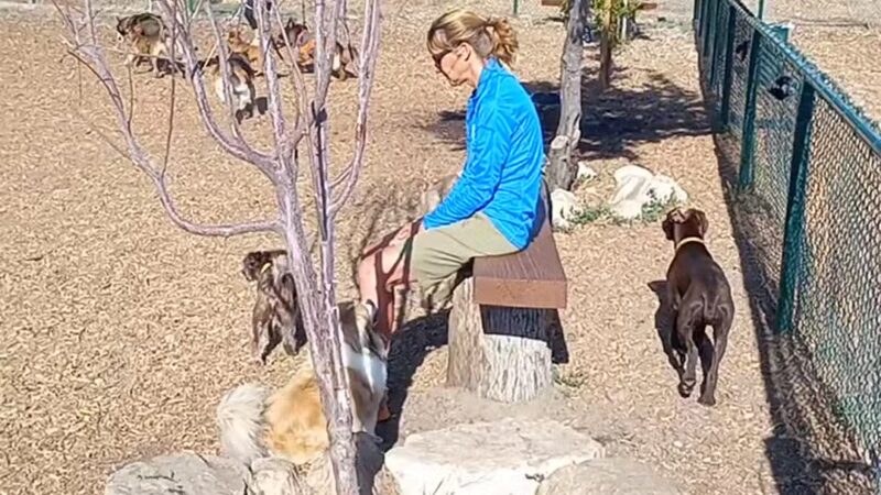 MacKay Park Bark Park - Lake Arrowhead, CA