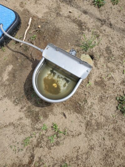 Lake City Dog Park - Lake City, AR
