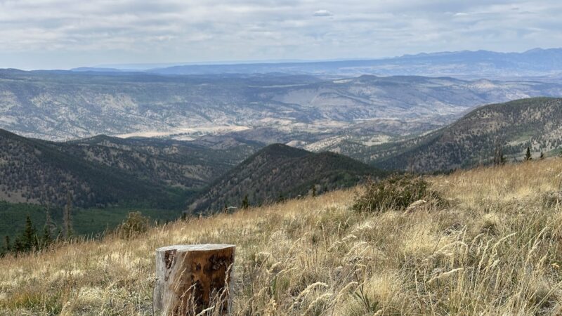 Powderhorn Wilderness - Lake City, CO