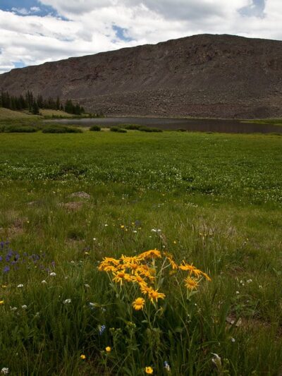 Powderhorn Wilderness - Lake City, CO