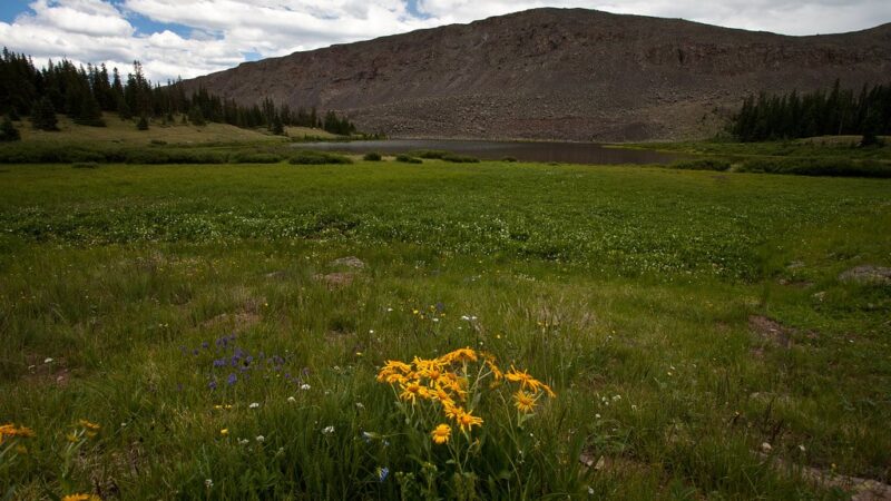 Powderhorn Wilderness - Lake City, CO