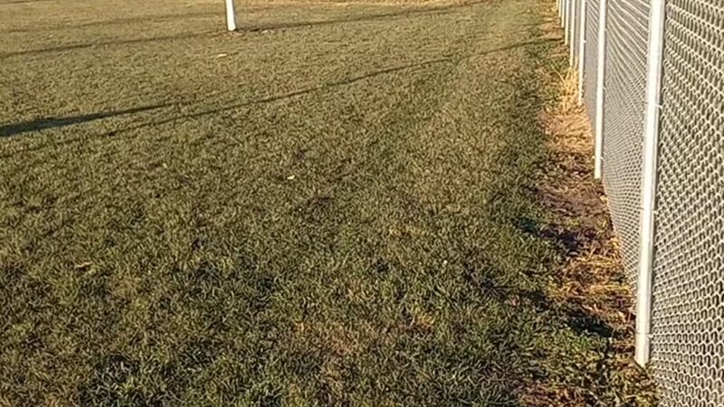 Lake Crystal Dog Park - Lake Crystal, MN