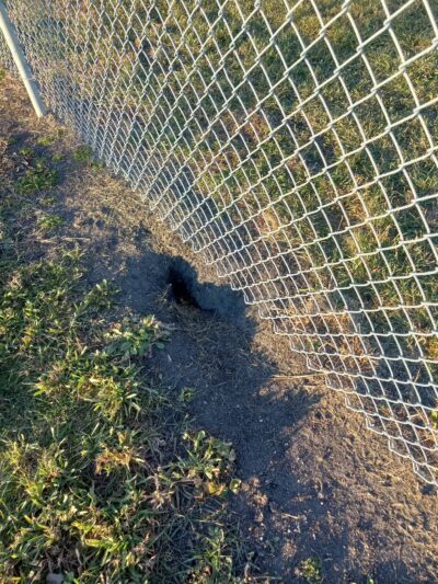 Lake Crystal Dog Park - Lake Crystal, MN