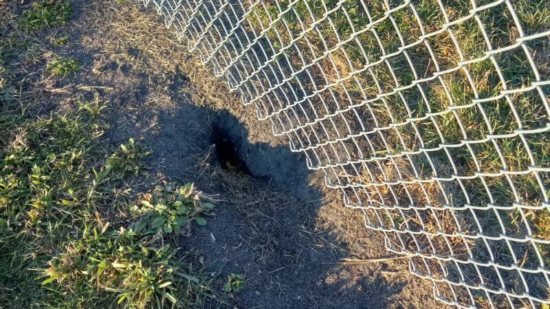 Lake Crystal Dog Park - Lake Crystal, MN