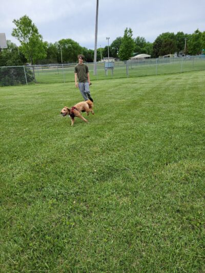 Lake Crystal Dog Park - Lake Crystal, MN