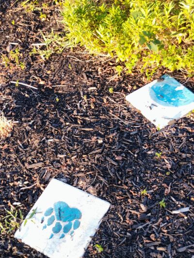 Lake Dallas City Park - Lake Dallas, TX