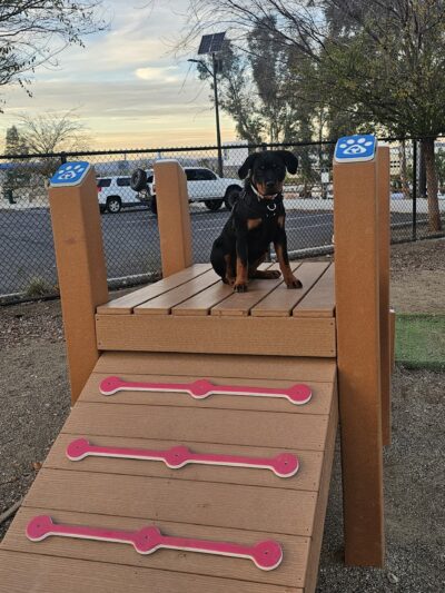 Serenity Dog Park - Lake Elsinore, CA