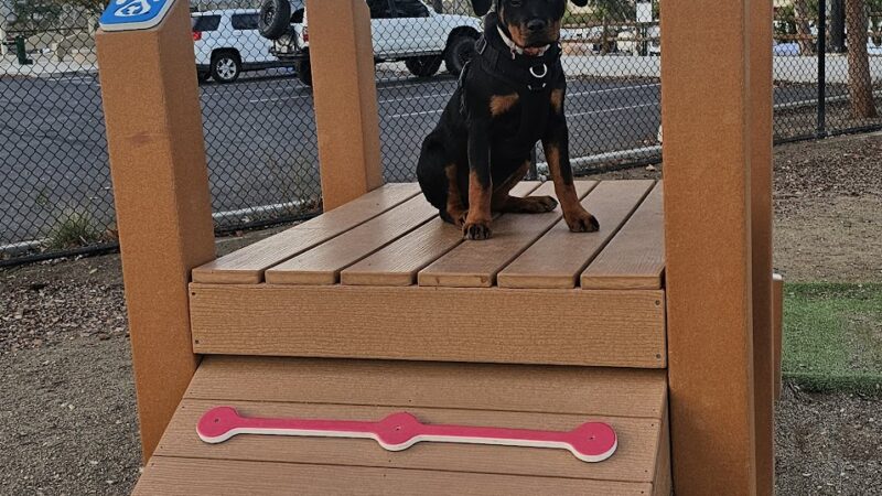 Serenity Dog Park - Lake Elsinore, CA
