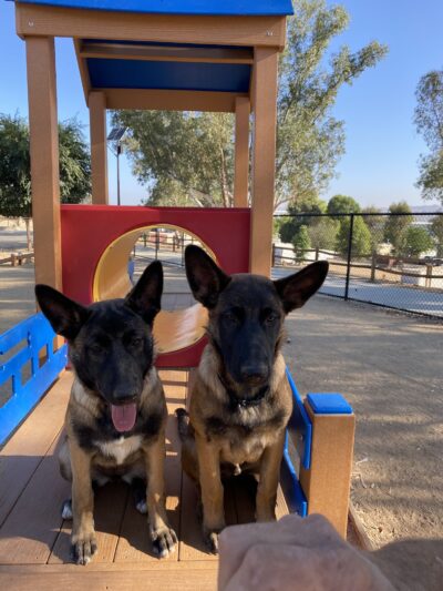 Serenity Dog Park - Lake Elsinore, CA