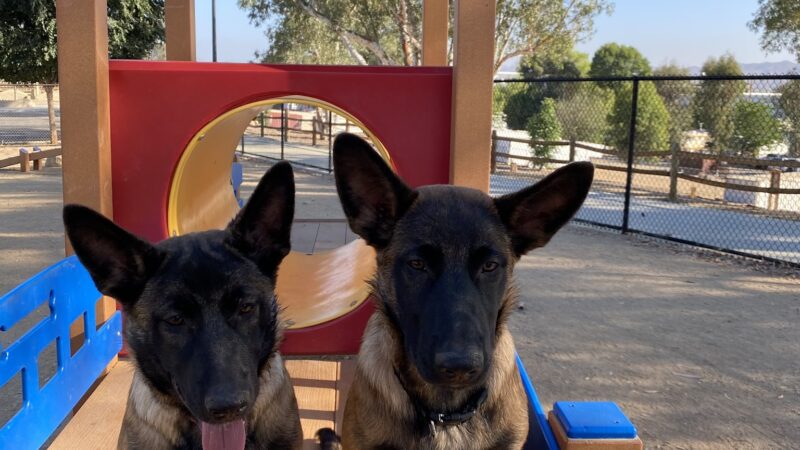 Serenity Dog Park - Lake Elsinore, CA