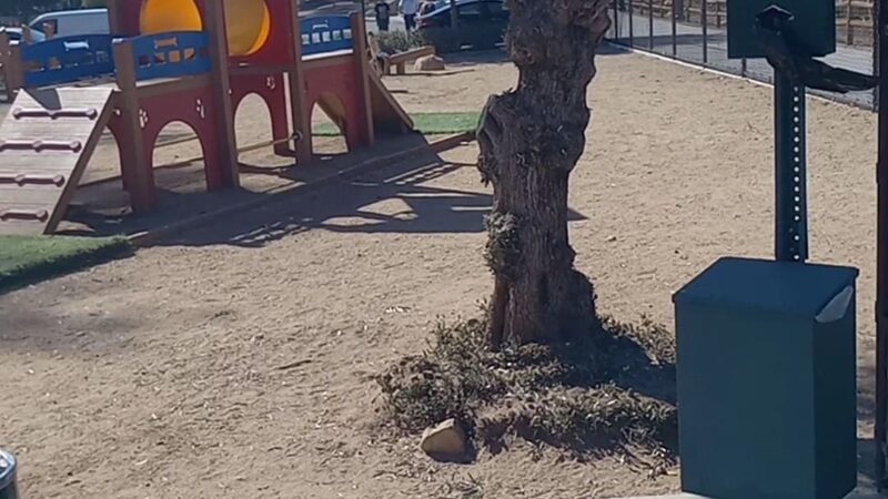 Serenity Dog Park - Lake Elsinore, CA