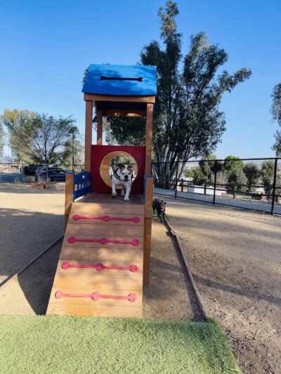 Serenity Dog Park - Lake Elsinore, CA