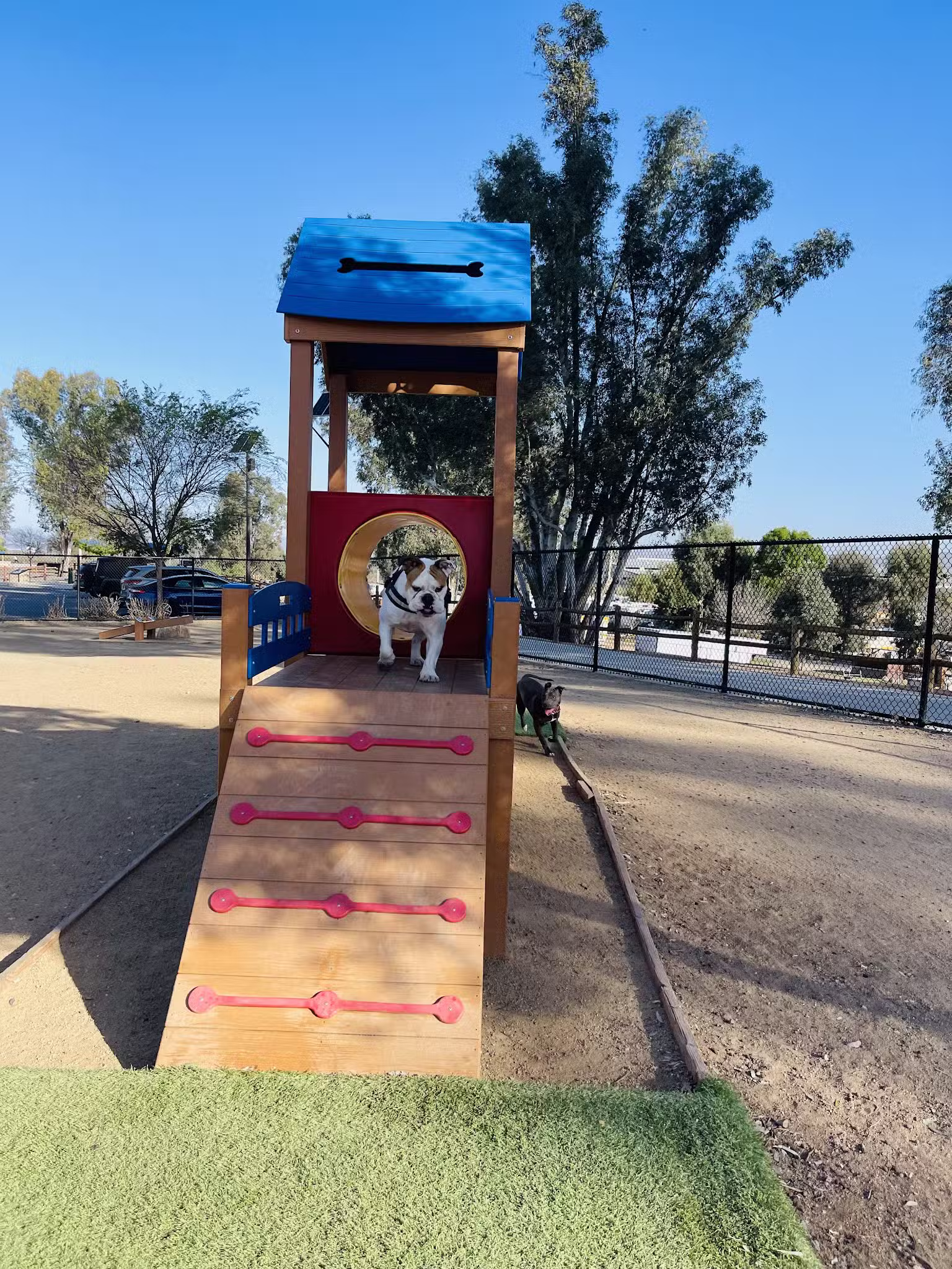 Serenity Dog Park - Lake Elsinore, CA