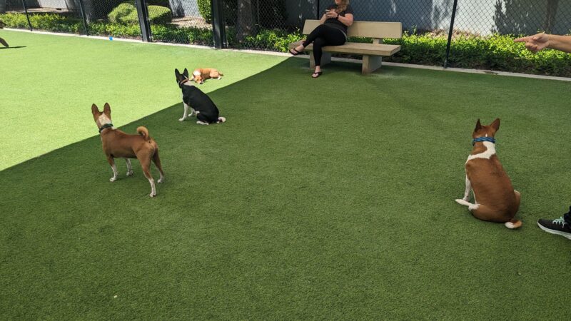 Barker Ranch Dog Park - Lake Forest, CA