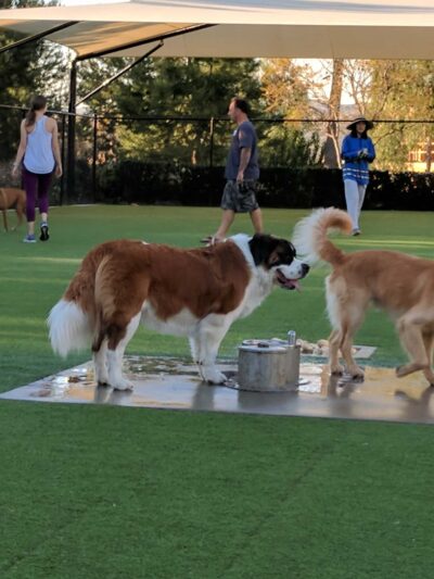 Barker Ranch Dog Park - Lake Forest, CA