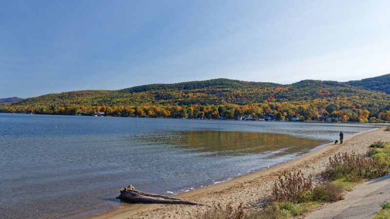 Lake George Dog Beach - Lake George, NY
