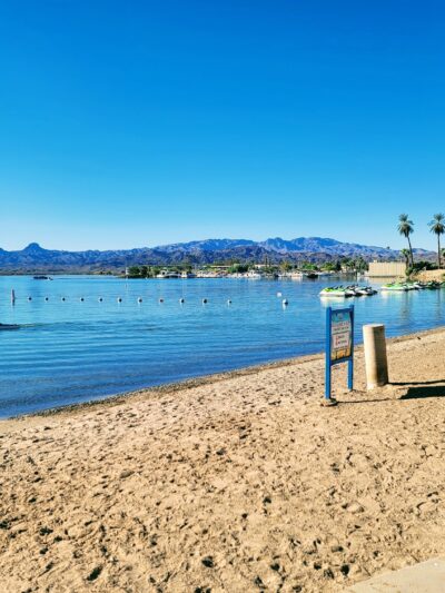 Lions Dog Park - Lake Havasu City, AZ
