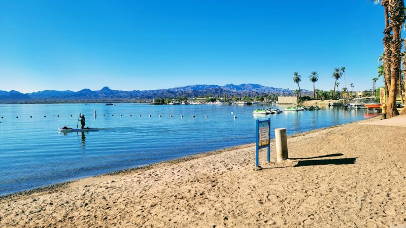 Lions Dog Park - Lake Havasu City, AZ