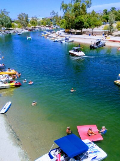 Lions Dog Park - Lake Havasu City, AZ