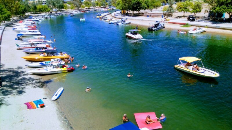 Lions Dog Park - Lake Havasu City, AZ