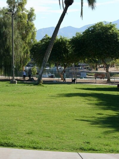 Lions Dog Park - Lake Havasu City, AZ