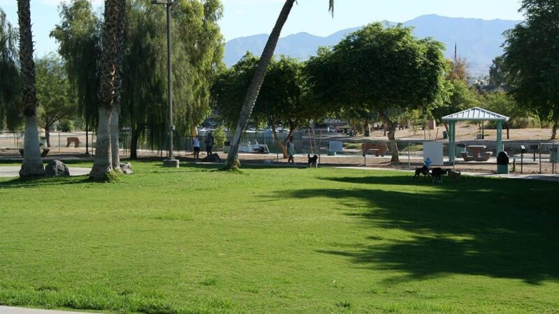 Lions Dog Park - Lake Havasu City, AZ