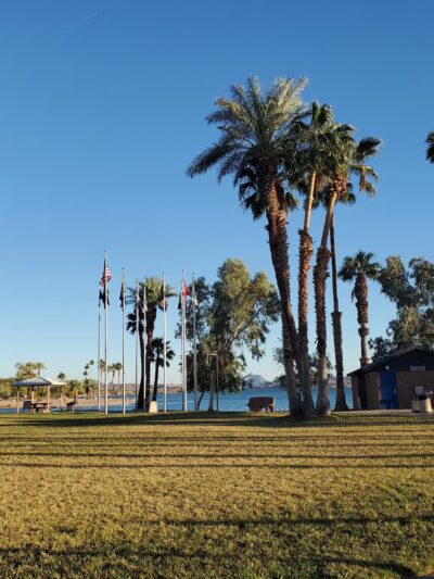 Lions Dog Park - Lake Havasu City, AZ