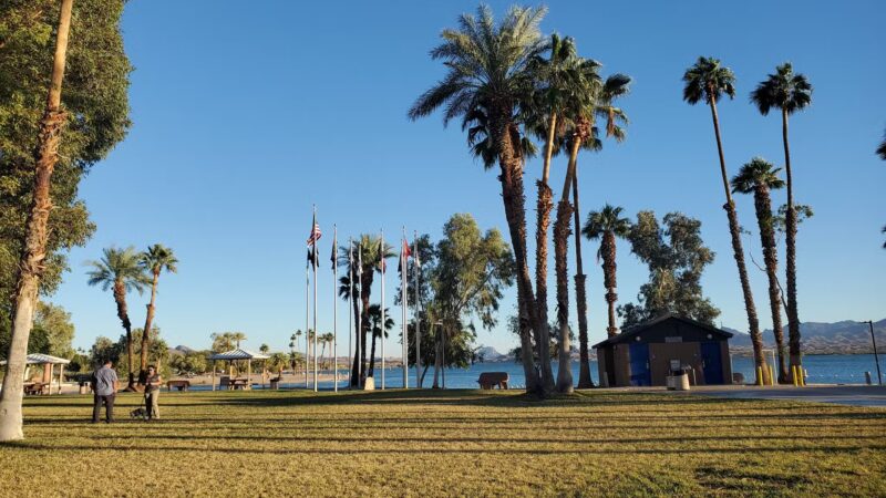 Lions Dog Park - Lake Havasu City, AZ