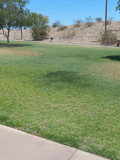 SARA Park Dog Park - Lake Havasu City, AZ