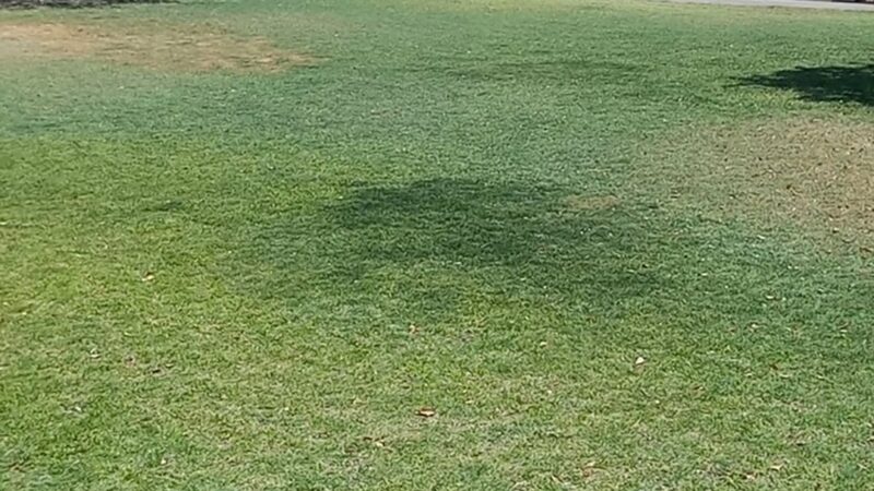 SARA Park Dog Park - Lake Havasu City, AZ