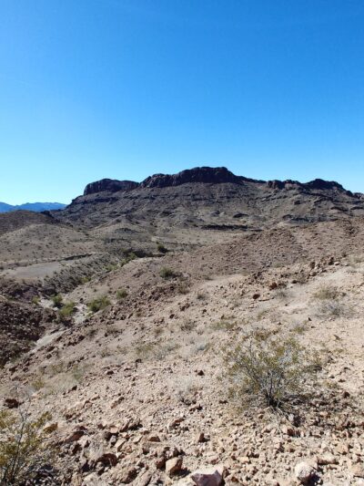 SARA Park Dog Park - Lake Havasu City, AZ