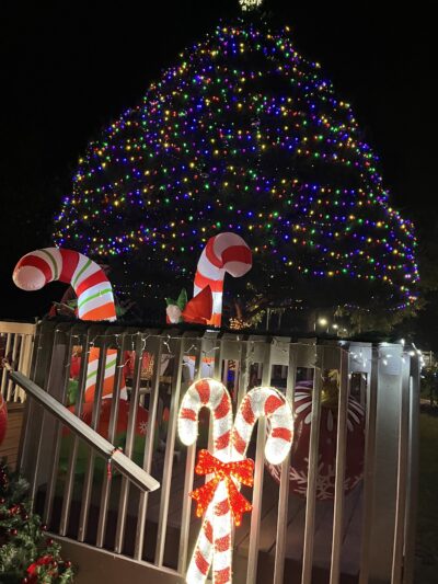 Blake Park - Lake Helen, FL