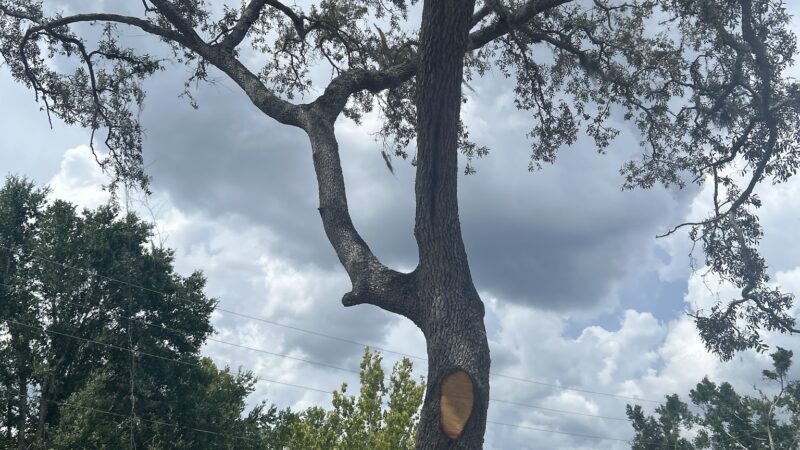 2nd & Crystal Lake Park - Lake Mary, FL