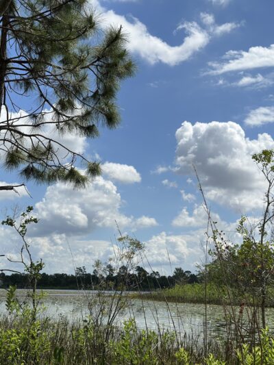 Eagle Loop Trail - Lake Mary, FL
