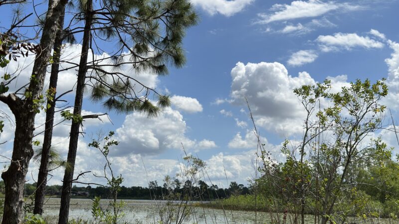 Eagle Loop Trail - Lake Mary, FL