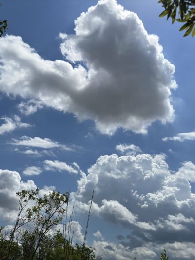 Eagle Loop Trail - Lake Mary, FL