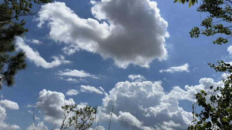 Eagle Loop Trail - Lake Mary, FL