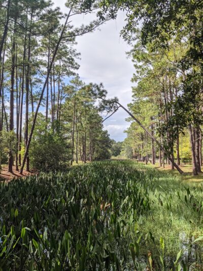 Liberty Park - Lake Mary, FL
