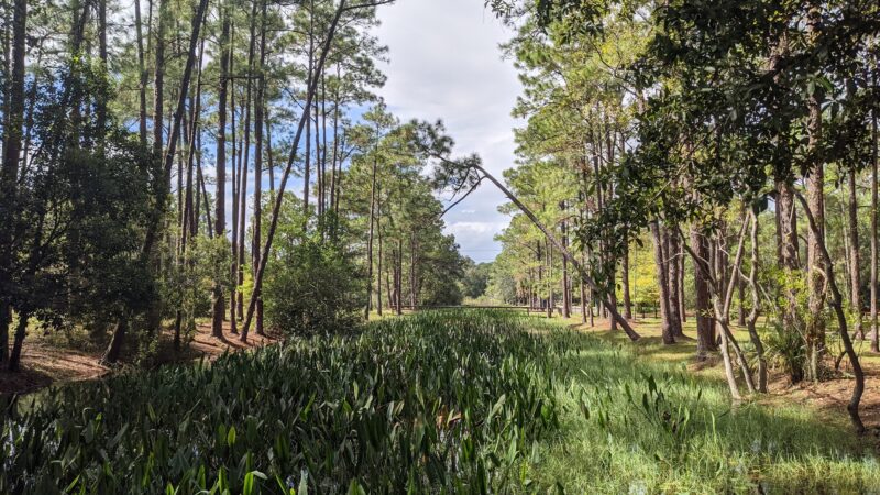 Liberty Park - Lake Mary, FL