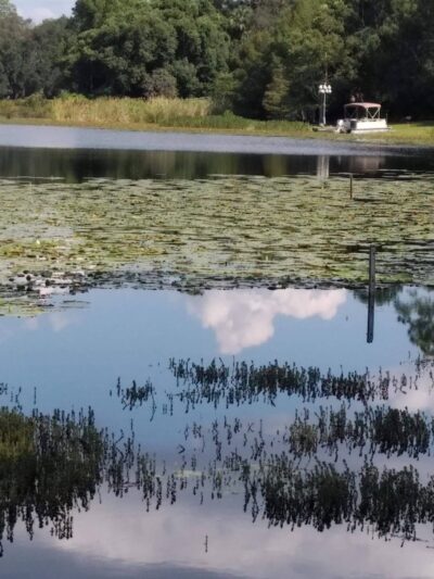 Margaret Wesley Park - Lake Mary, FL