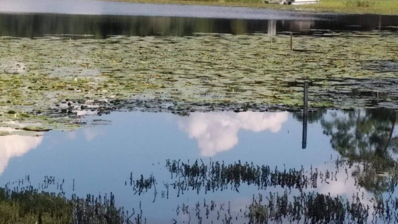Margaret Wesley Park - Lake Mary, FL