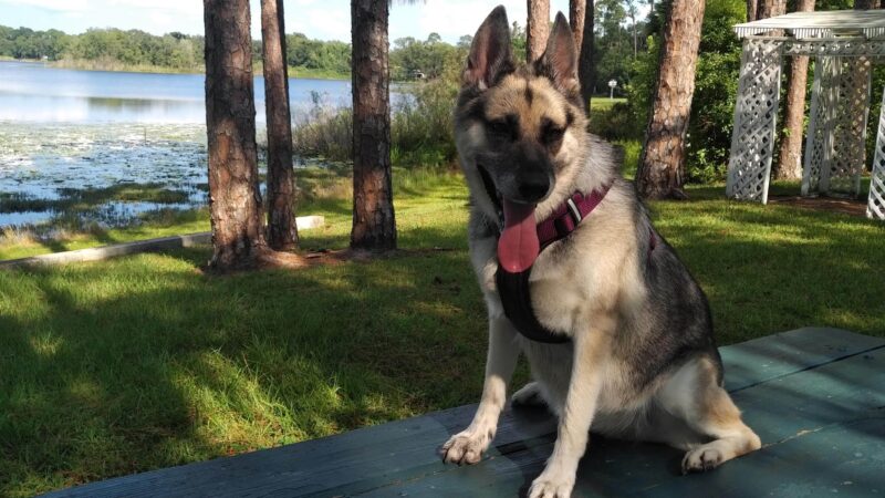 Margaret Wesley Park - Lake Mary, FL