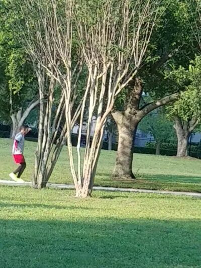 Oval Park - Lake Mary, FL