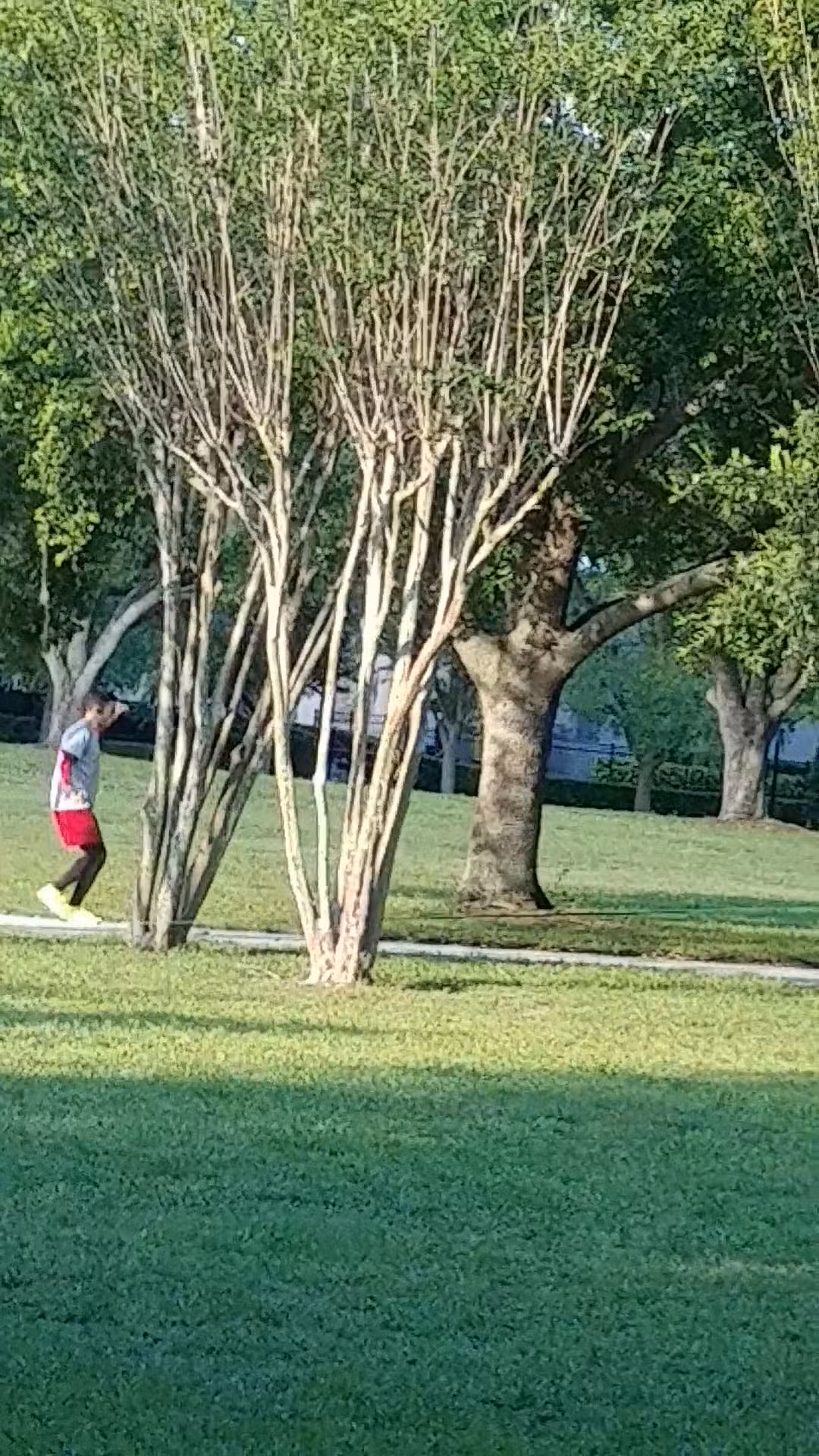 Oval Park - Lake Mary, FL