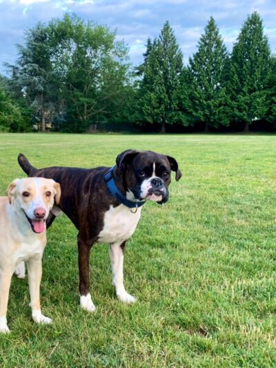 Pilkington Park - Lake Oswego, OR