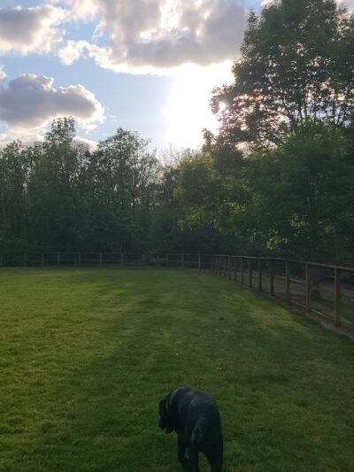 Waluga Dog Park - Lake Oswego, OR